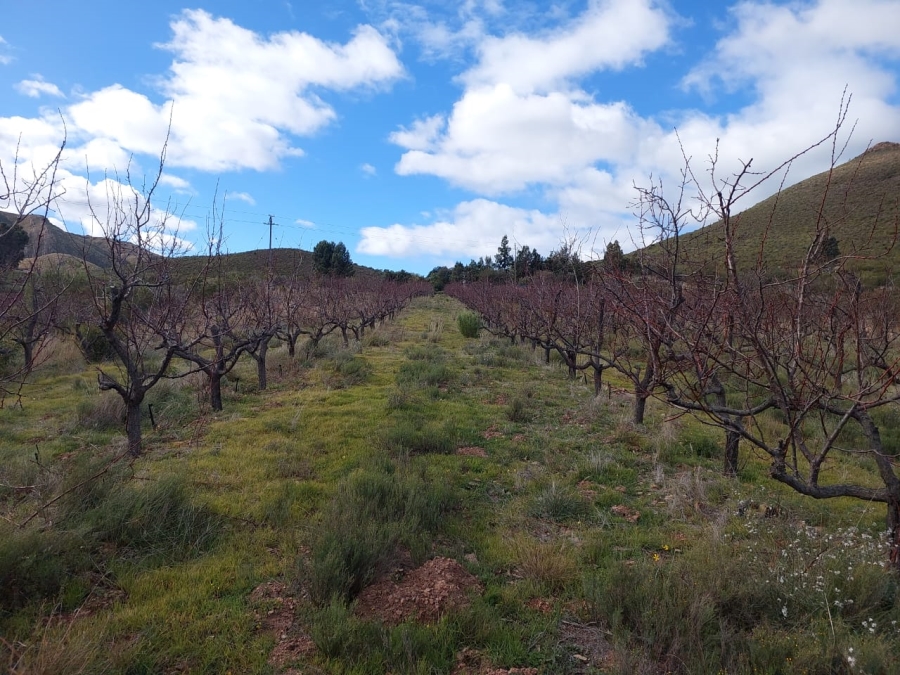 7 Bedroom Property for Sale in Ladismith Rural Western Cape